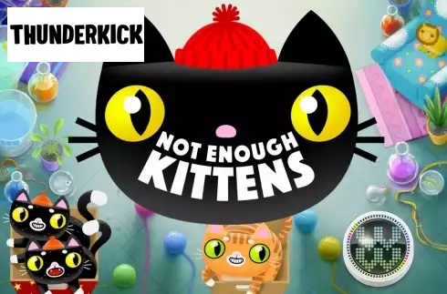 Not Enough Kittens